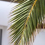 Modernes Und Helles Direkt Am Meer- Mit Zwei Grossen Terrassen- Garte By Interhome Tatil Evi